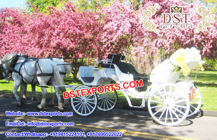 Beautiful Victorian Wedding Horse Carriage