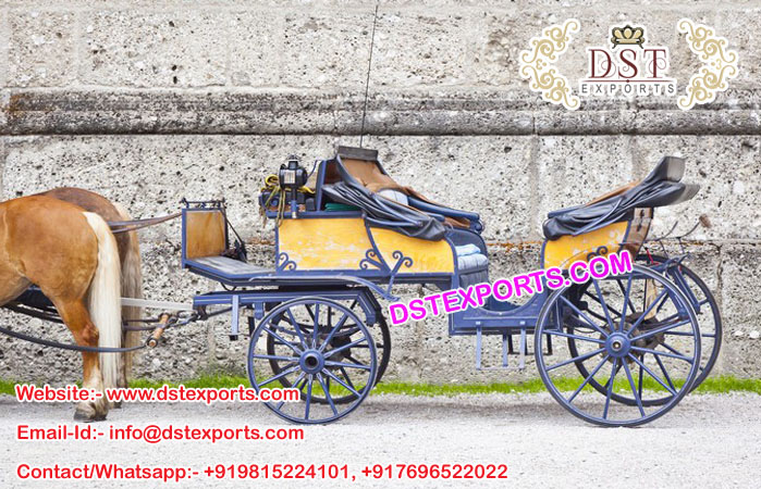 European Style Vis a Vis Horse Buggy