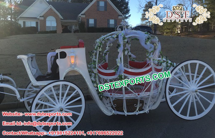 English Wedding Cinderella Horse Drawn Buggy