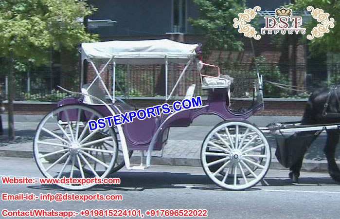 Regal Horse Drawn Carriages for Sale