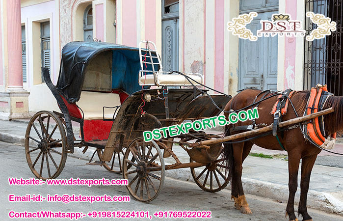 Latest Horse Drawn Touring Buggy