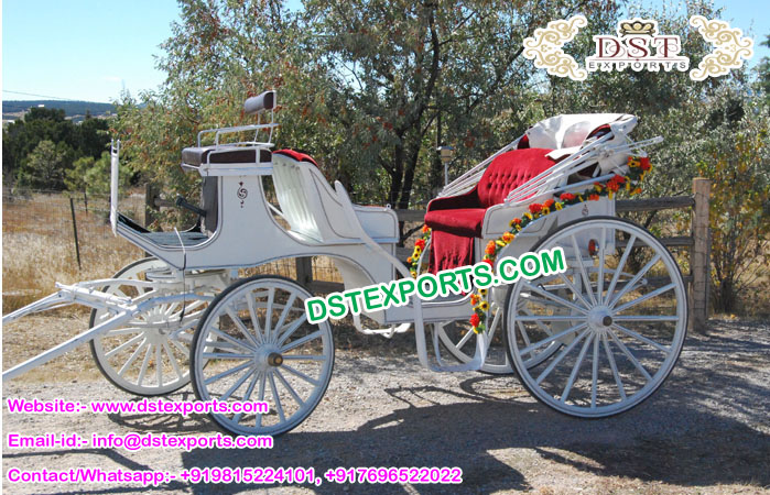 English Wedding Vis a Vis Horse Carriages