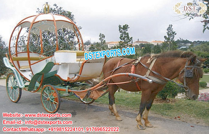 Elegant Wedding Cinderella Horse Carriage