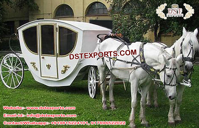 Princess Touring Horse Drawn Carriage