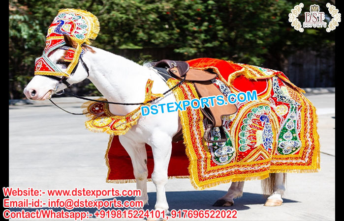 Designer Peacock Design Horse Costume