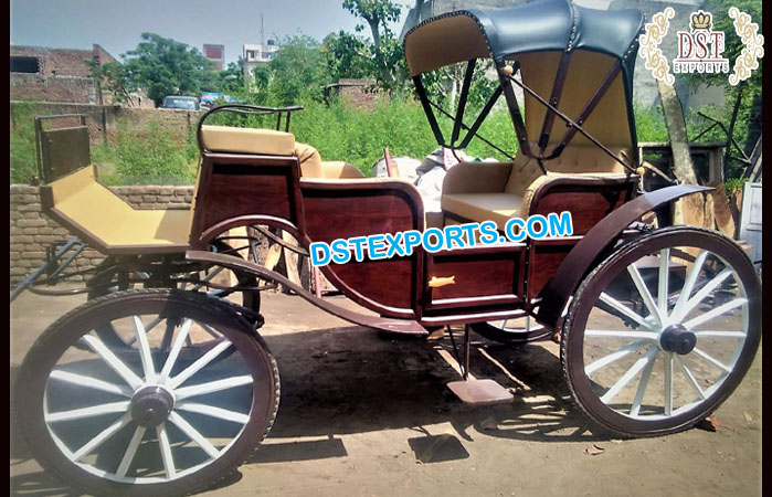 Stylish Tourist Victorian Horse Carriage Florida