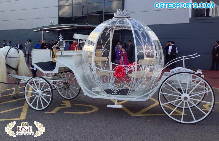 Cinderella Dream Horse Carriage for Wedding