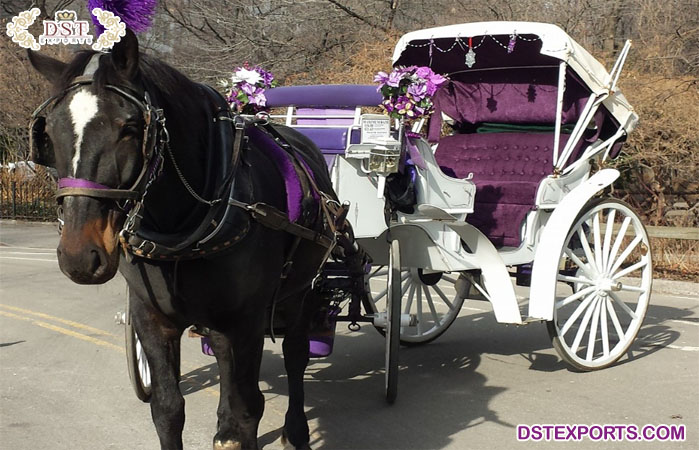 Horse Drawn Touring White Victoria Carriage