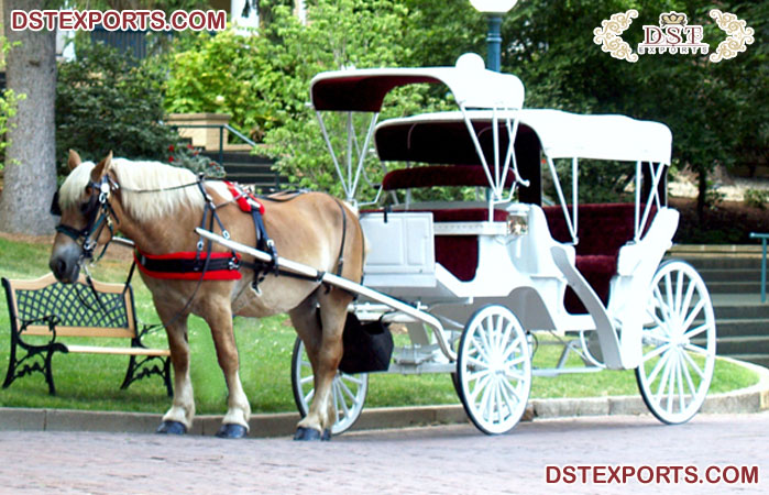 Four Seater Horse Drawn Buggy/Carriage