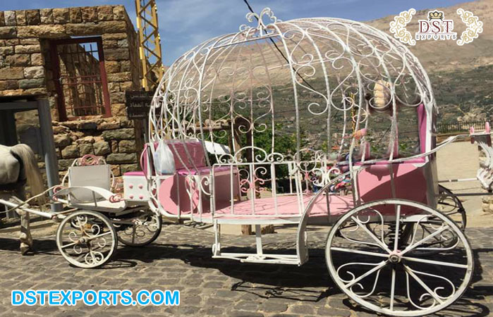 Cinderella Kids Touring Horse Carriage