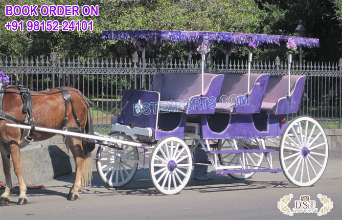 Royal Limousine Horse Carriage with Triple Seat