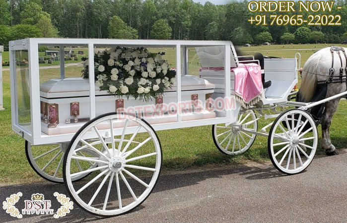 American Style White Horse Drawn Hearse