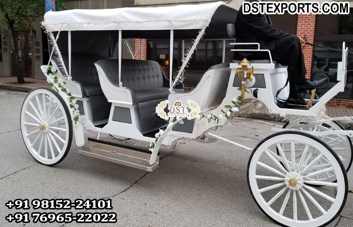 Sightseeing Limousine Elegant White Horse Carriage