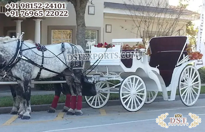 Glamorous Bride Groom Wedding Carriage Buggy