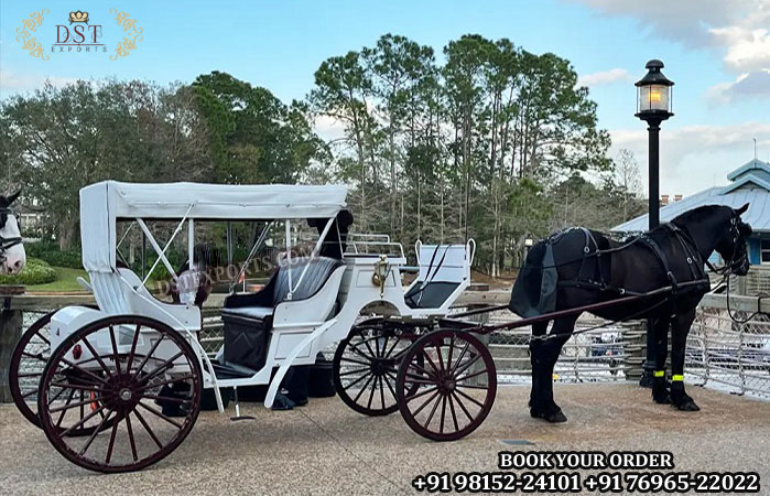 Amazing White Tourist Vis A Vis Horse Carriage