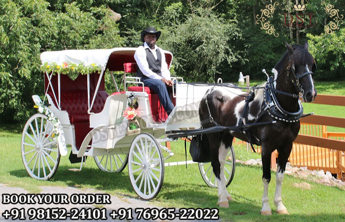 Air Condition Horse Driven Carriage For Sale