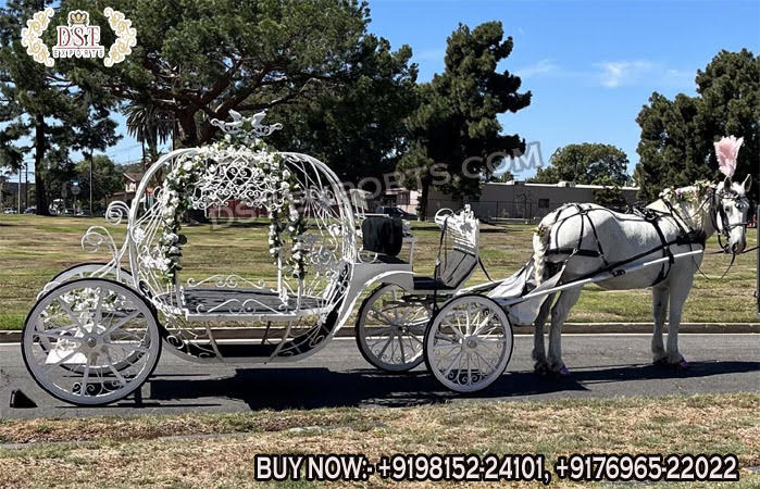 Latest Design Pumpkin Funeral Horse Carriage