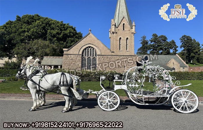 Sweet Wedding Cinderella Horse Carriage