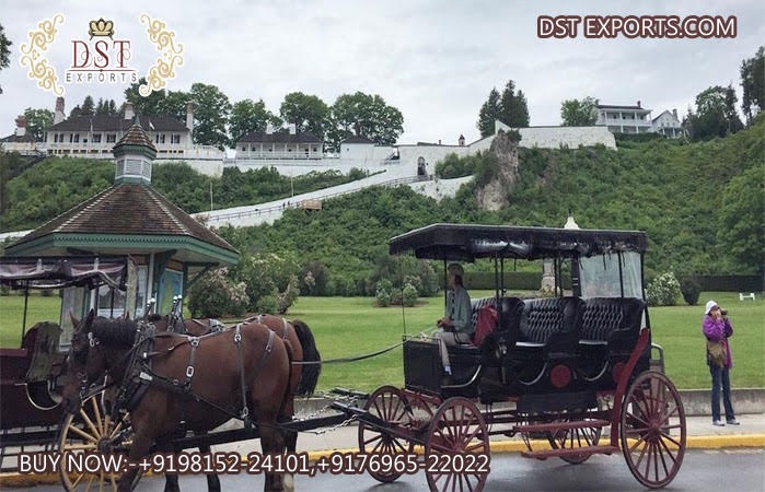 Elegant Limousine Design Sightseeing Horse Carriag