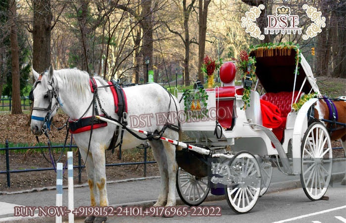 European Style White Horse Drawn Carriage