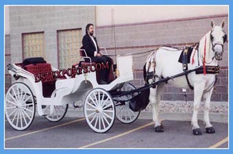 Romantic Wedding Horse Carriage