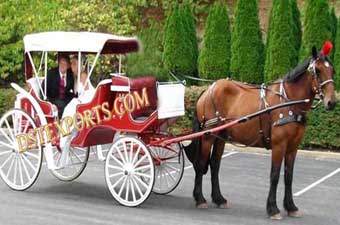 English Wedding Horse Drawn Carriages