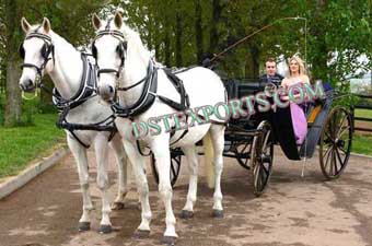 Beautiful Black Victoria Carriages