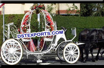 Wedding  Beautiful Bride Cinderella Carriage