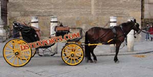 TRADITIONAL HORSE DRAWN CARRIAGES