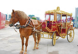 ROYAL HORSE DRAWN CART