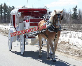 ELEGENT VICTORIA  HORSE  DRAWN CARRIAGE