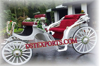 Indian Wedding Horse Drawn Baghi