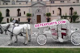 Wedding Cinderala Horse Carriage