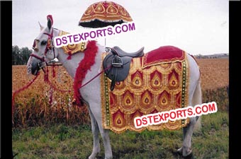 Indian Vivah Decorated Horse Costume