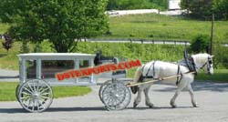 HORSE DRAWN HEARSE