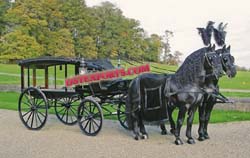 HORSE DRAWN BLACK HEARSE