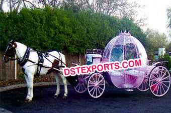 Australian Wedding Cinderala Horse Carriage