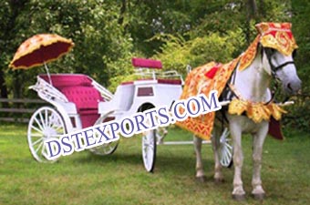 Indian Wedding Horse Carriages