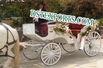Indian Wedding Horse Carriage