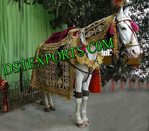 Wedding Embroidered Ghodi Costume