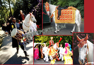 Indian Wedding Baraat Accessories