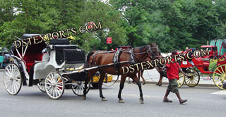 Center Park Touring Horse Carriages