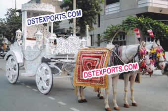 Indian Wedding Decorated Horse Baghi