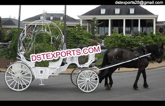 Small Cinderella Horse Carriage