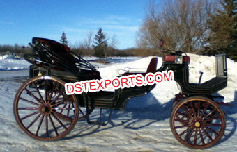 Elegant Vis-a Vis Black Horse Carriage