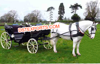 Vis Vis Black Victoria Horse Carriage