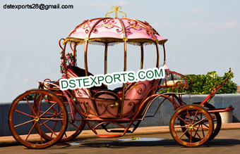 Mini Cinderella Horse Drawn Carriage