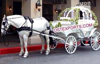 Bride Entry On Small Cinderella Buggy