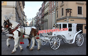 White Elegant Covered Horse Buggy