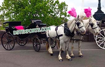 Black Royal Horse Drawn Buggy